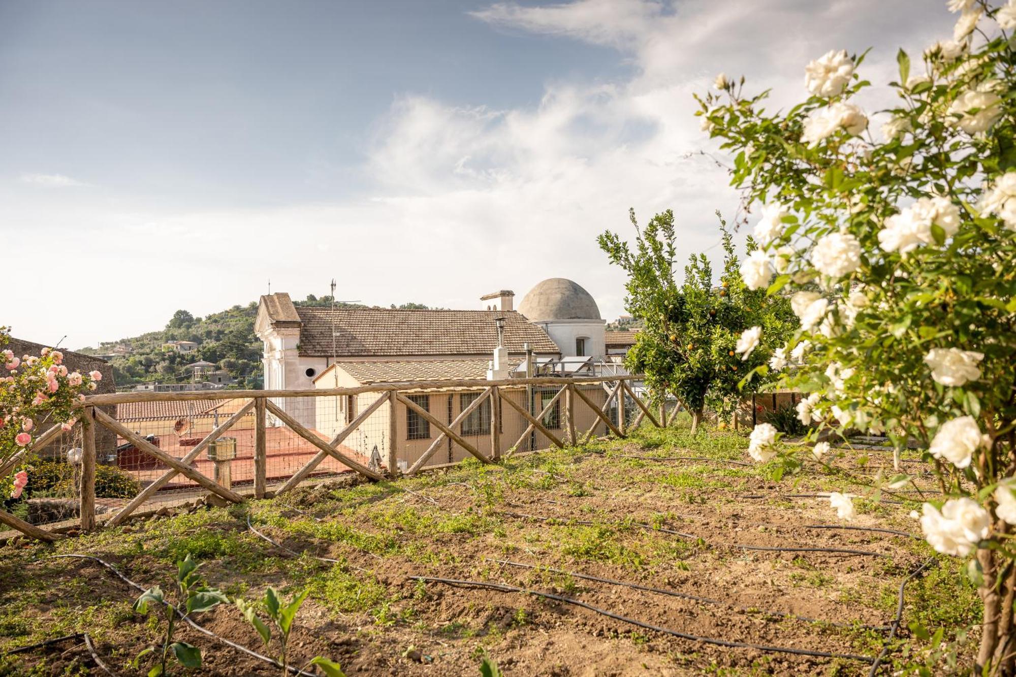 Casa De Maria Villa Massa Lubrense Exterior foto